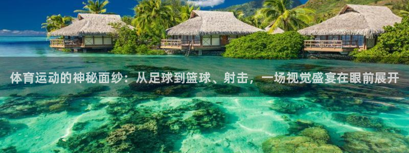 vsport体育官方正版app官网：体育运动的神秘面