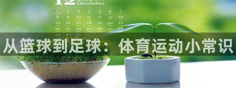 vsport体育官网下载招商电话号码：从篮球到足球：