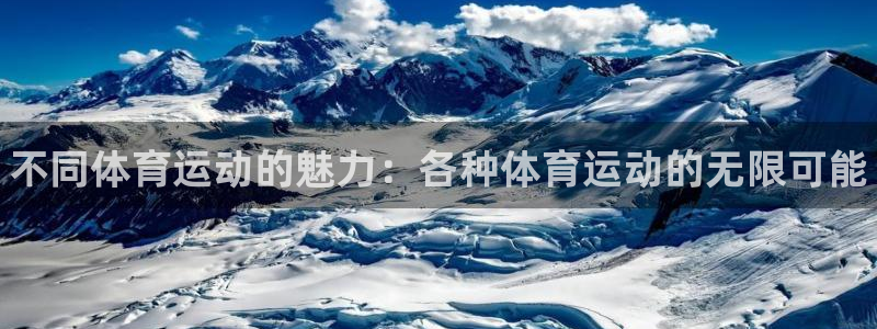 vsport体育官网下载注册：不同体育运动的魅力：各