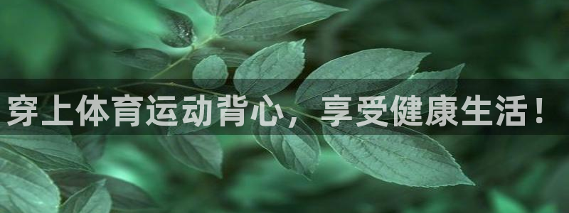 vsport体育官方正版app官网：穿上体育运动背心