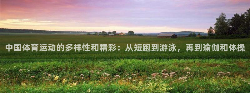 vsport体育官网下载软件：中国体育运动的多样性和