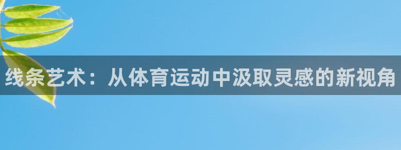 vsport体育官网下载招商电话号码查询是多少：线条