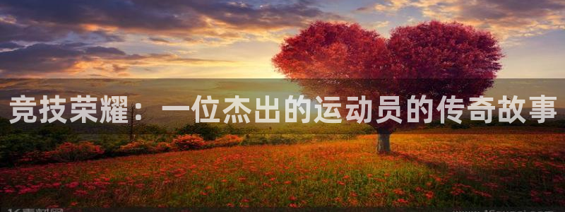 vsport体育官网下载平台假的吗是真的吗：竞技荣耀：一位杰