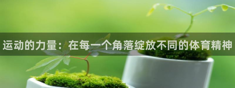 vsport体育官网下载平台注册要钱吗安全吗：运动的力量：在