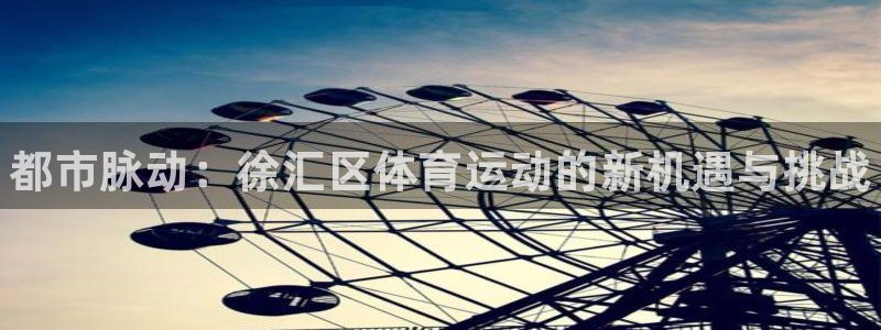 vsport体育官网下载：都市脉动：徐汇区体育运动的新机遇与
