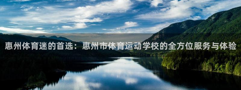 vsport体育官方正版app集团logo