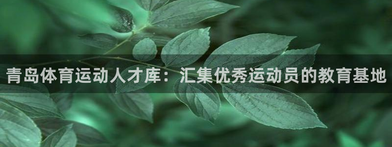 vsport体育官方正版app集团简介：青岛体育运动人才库：