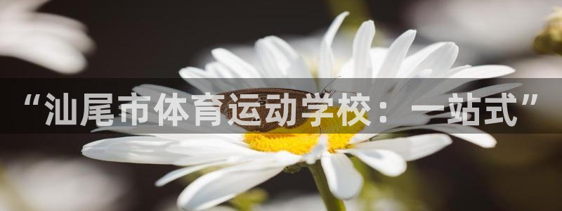 vsport体育官网下载招商：“汕尾市体育运动学校：一站式”