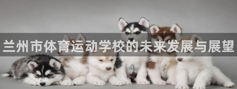 vsport体育官网下载招商电话是多少：兰州市体育运