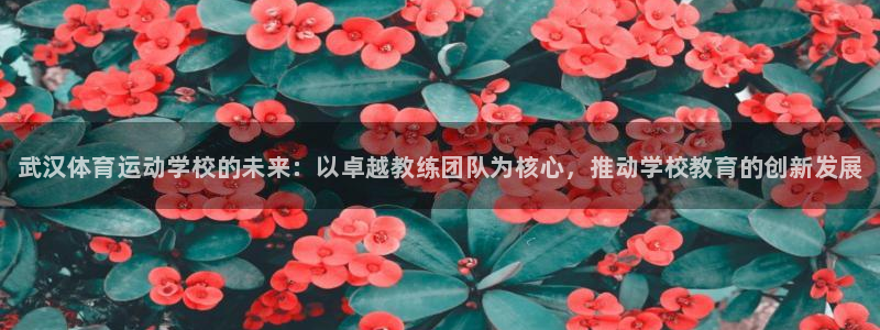 vsport体育官网下载平台是正规平台吗知乎