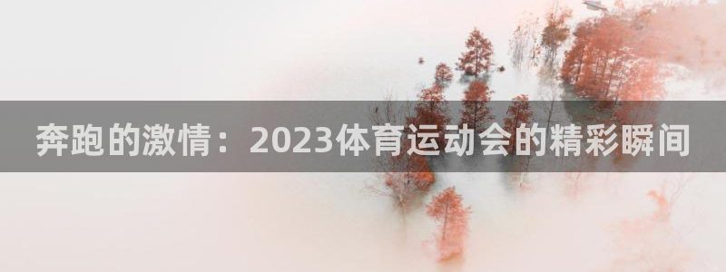vsport体育官网下载注册：奔跑的激情：2023体