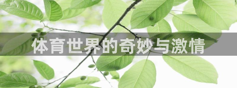 德国vsport体育官方正版app集团：体育世界的奇