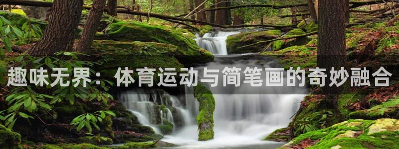 vsport体育官网下载平台APP：趣味无界：体育运动与简笔