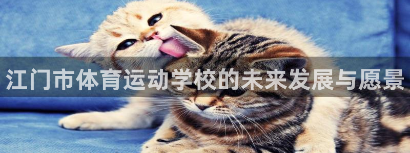 vsport体育官网下载是干嘛的公司