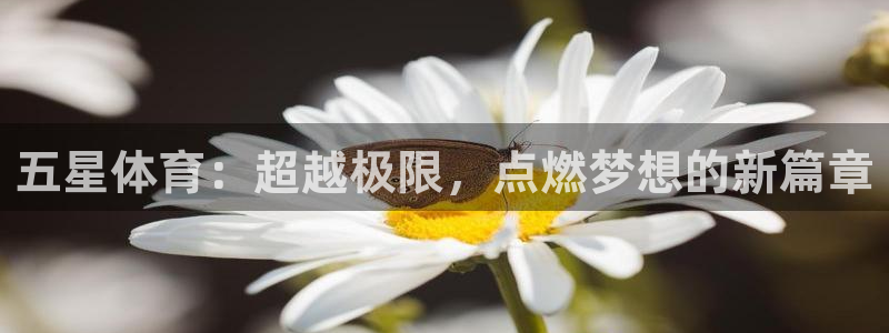 vsport体育官网下载招商电话是多少号码：五星体育：超越极