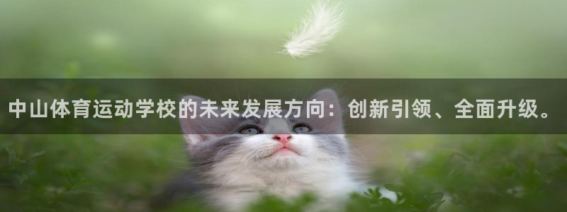 vsport体育官网下载开户：中山体育运动学校的未来