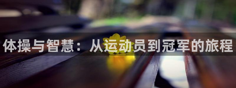 vsport体育官方正版app集团简介：体操与智慧：